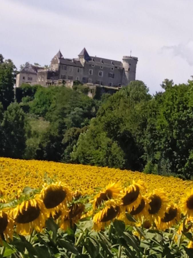 Ceyzerieu Chez Karine Bed & Breakfast エクステリア 写真