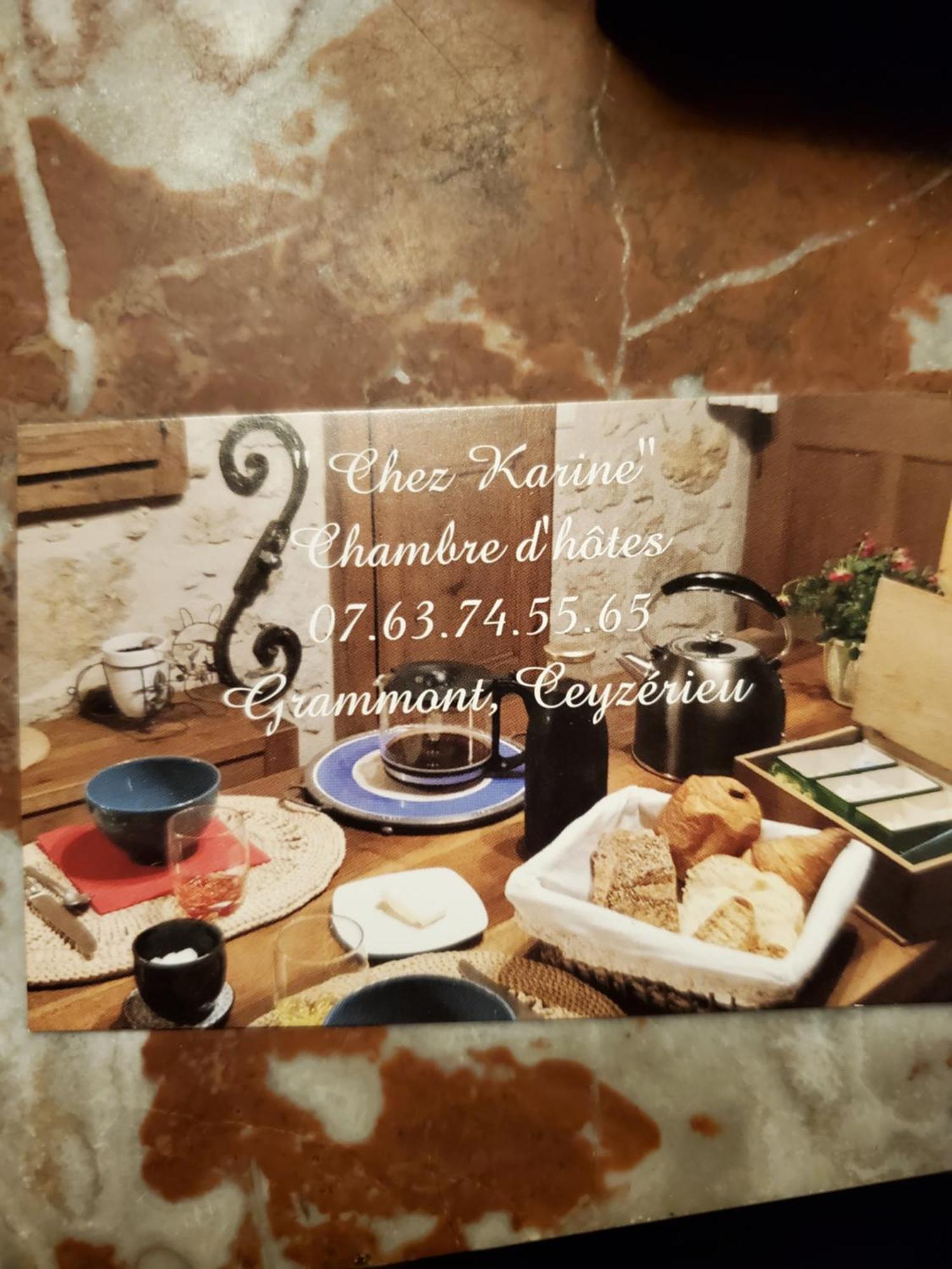 Ceyzerieu Chez Karine Bed & Breakfast エクステリア 写真
