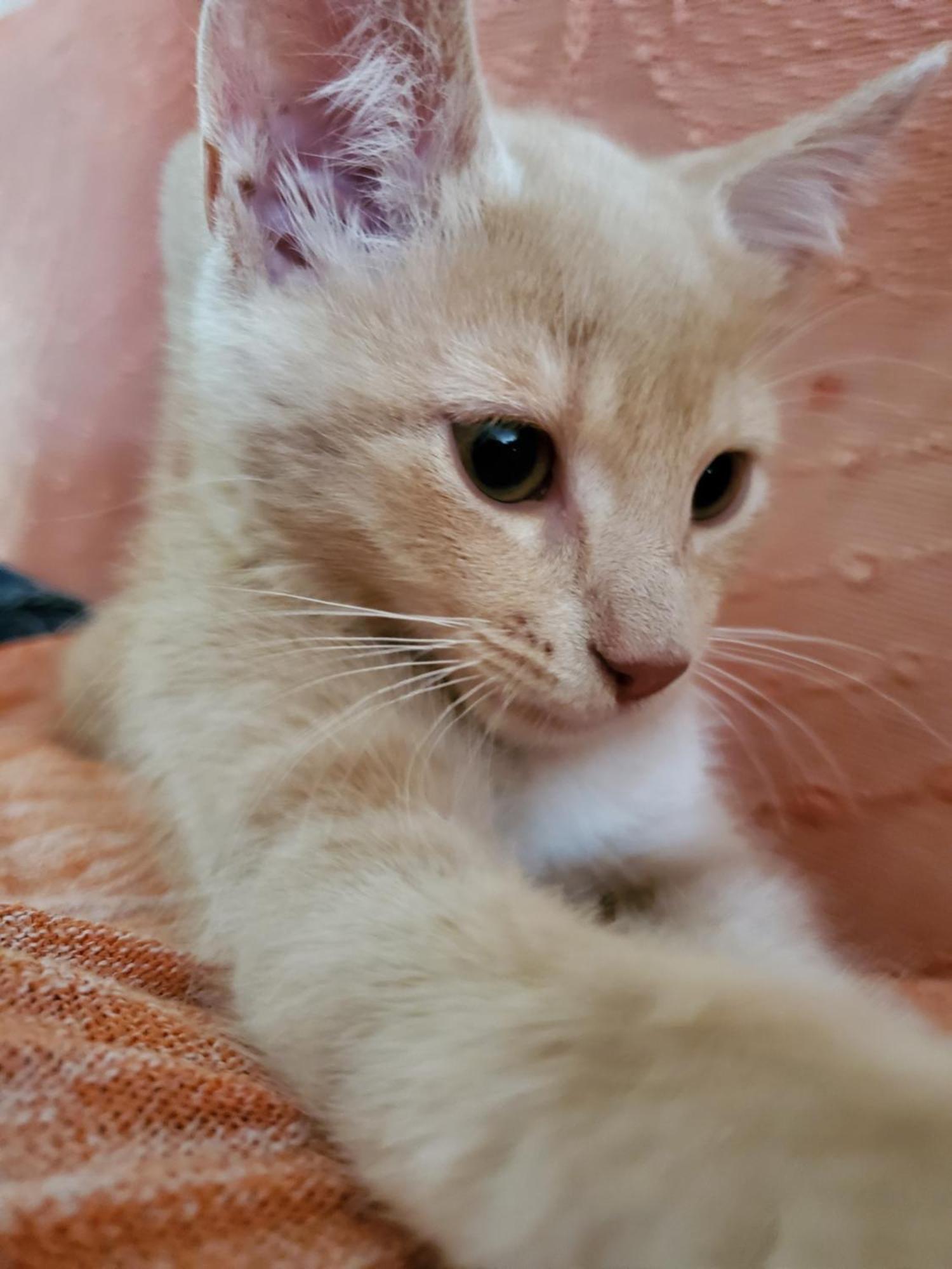 Ceyzerieu Chez Karine Bed & Breakfast エクステリア 写真